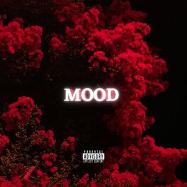 Album cover of MOOD