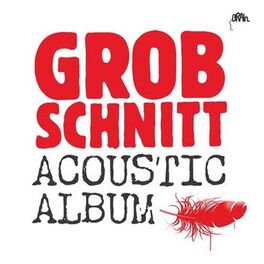 Album cover of Acoustic Album