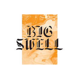 Album cover of Big Swell, Vol. 2