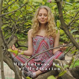 Album cover of Mindfulness Rain of Meditation