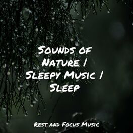 Album cover of Sounds of Nature | Sleepy Music | Sleep