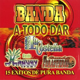 Album cover of Banda A Todo Dar 15 Exitos De Pura Banda