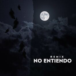 Album cover of No Entiendo (Remix)