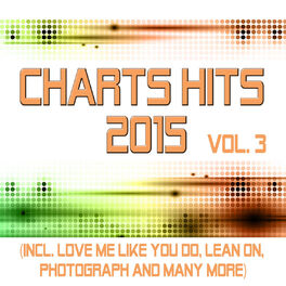 Album cover of Charts Hits 2015 - Vol. 3 (Incl. Love Me Like You Do, Lean on, Photograph and Many More) - Tribute Versions