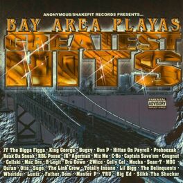 Album cover of Bay Area Playas Greatest Hits
