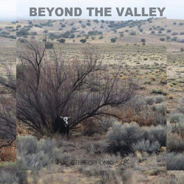 Album cover of Beyond the Valley