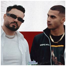 Album cover of Austria
