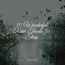 Album cover of 50 Wonderful Rain Tracks for Sleep