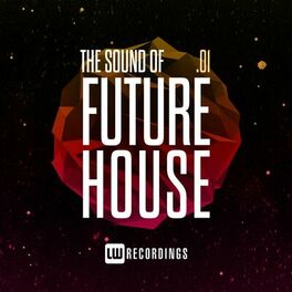 Album cover of The Sound Of Future House, Vol. 01