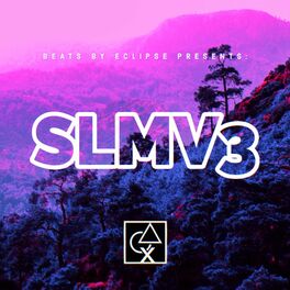 Album cover of SLMV3