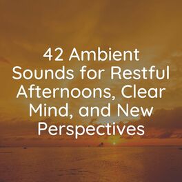 Album cover of 42 Ambient Sounds for Restful Afternoons, Clear Mind, and New Perspectives