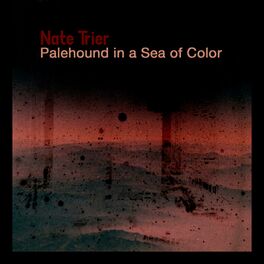 Album cover of Palehound in a Sea of Color