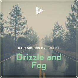 Album cover of Drizzle and Fog
