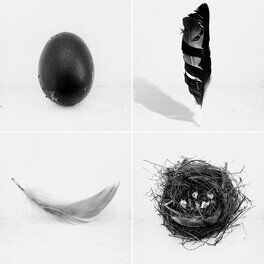 Album cover of It's Not That Easy
