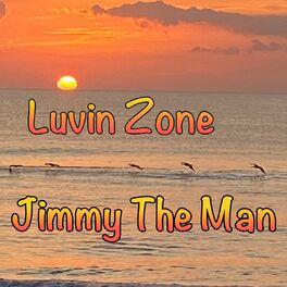 Album cover of Luvin Zone