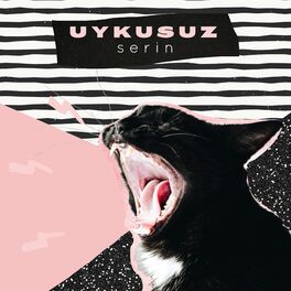 Album cover of Uykusuz