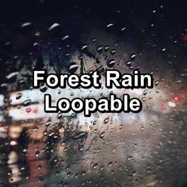 Album cover of Forest Rain Loopable