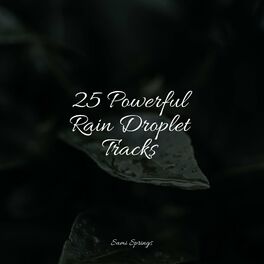 Album cover of 25 Powerful Rain Droplet Tracks