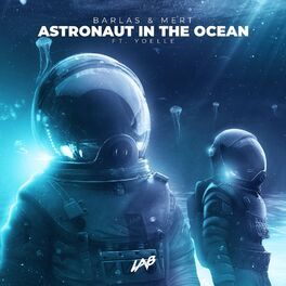 Album cover of Astronaut in the Ocean