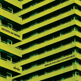 Album cover of Estate Of Mind