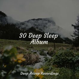 Album cover of 30 Deep Sleep Album