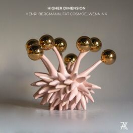Album cover of Higher Dimension