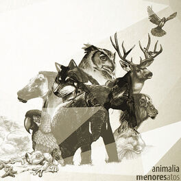 Album cover of Animalia