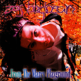 Album cover of From the Marcy Playground