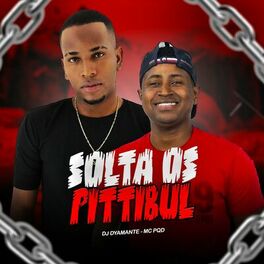 Album cover of Solta os Pitbul