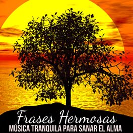 Album cover of Frases Hermosas - Música Tranquila para Sanar el Alma Siete Chakras Dormir Bien con Sonidos Instrumentales Binaurales