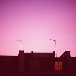 Album cover of Analyser/We Are Chosen