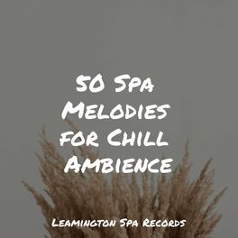 Album cover of 50 Spa Melodies for Chill Ambience