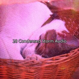 Album cover of 28 Condensed Storm Audio