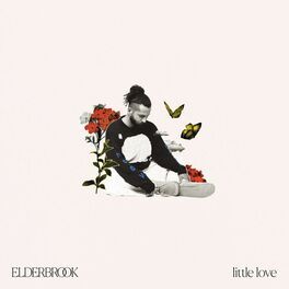 Album cover of Little Love