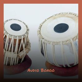 Album cover of Audio Bongo