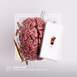 Album cover of Boom Stix