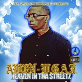 Album cover of W.G.A.F. Heaven In Tha Streetz