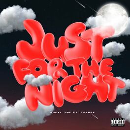 Album cover of JUST FOR THE NIGHT (Prod. YNL) (feat. Teebee)