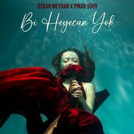 Album cover of Bi Heyecan Yok