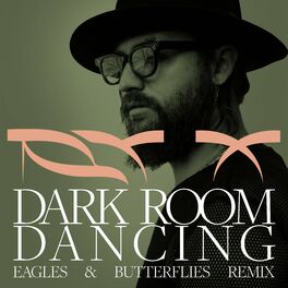Album cover of Dark Room Dancing (Eagles & Butterflies Remix)