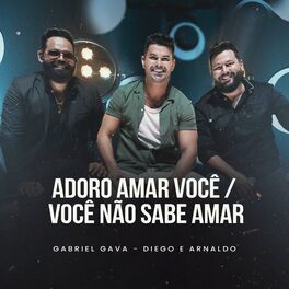Album cover of Adoro Amar Você / Você Não Sabe Amar (Ao Vivo)