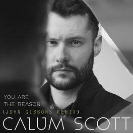 Album cover of You Are The Reason (John Gibbons Remix)