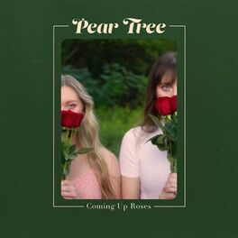 Album cover of Pear Tree