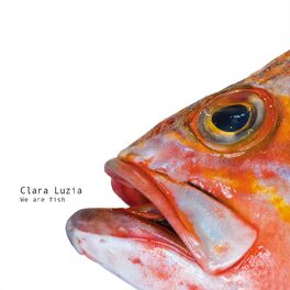 Album cover of We Are Fish