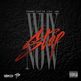 Album cover of Why Stop Now (feat. Fat Joe)