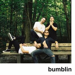 Album cover of bumblin