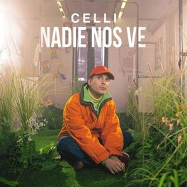 Album cover of Nadie Nos Ve