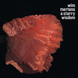 Album cover of A Starry Wisdom