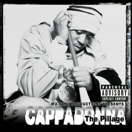 Album cover of The Pillage