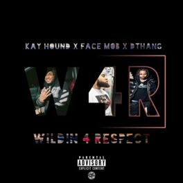 Album cover of Wildin 4 Respect